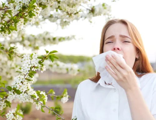 Alergia primaveral: síntomas, causas y consejos para aliviarla